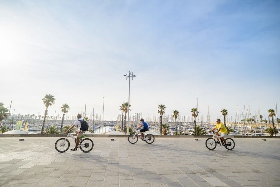 From Barcelona: Private Alella Wine Tour by Electric Bike - Alella’s organic winery visit, why the vineyards feel personal