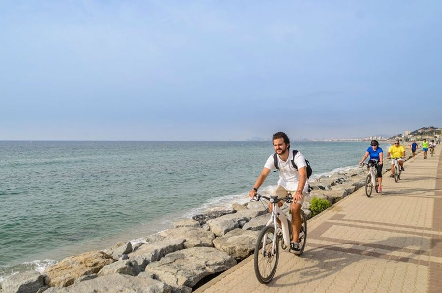 From Barcelona: Private Alella Wine Tour by Electric Bike - The sommelier tasting: 4 wines, and how to make it meaningful