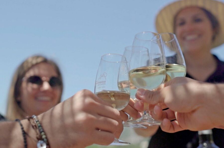 From Barcelona: Private Alella Wine Tour by Electric Bike - Price and value: $294 for a private day that includes the hard parts