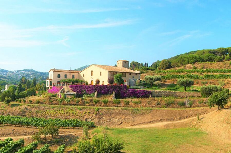 From Barcelona: Private Alella Wine Tour by Electric Bike - Electric bikes and the 20 km route, what to expect on your legs