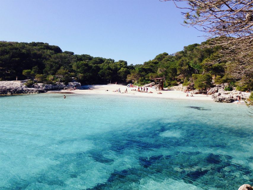 From Cala Galdana: 2-Hour Glass-Bottom Boat Trip - The glass-bottom floor and snorkeling setup