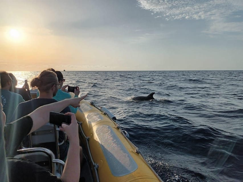 From Can Picafort: Dolphin Watching and Cave Boat Trip - Included Items and What You Still Need to Bring