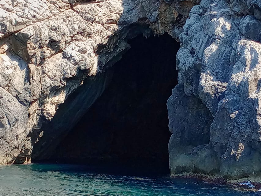 From Can Picafort: Dolphin Watching and Cave Boat Trip - Es Coll Baix Swim Stop: The Main Event After Dolphins
