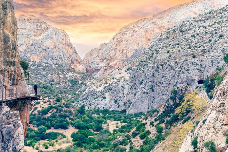 From Costa del Sol: Caminito del Rey Day Trip - What your guide actually does on the gorge path