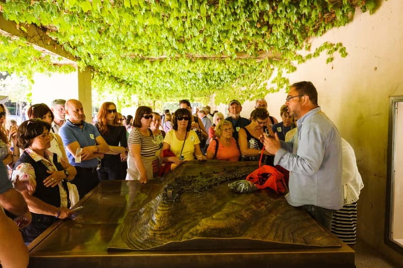 From Costa del Sol: Granada Full-Day Tour - Granada From Costa del Sol, the smart one-day payoff