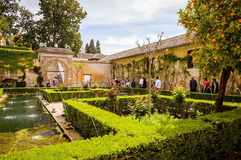 From Costa del Sol: Granada Full-Day Tour - Granada’s old center: Cathedral, Royal Chapel, and the souk vibe