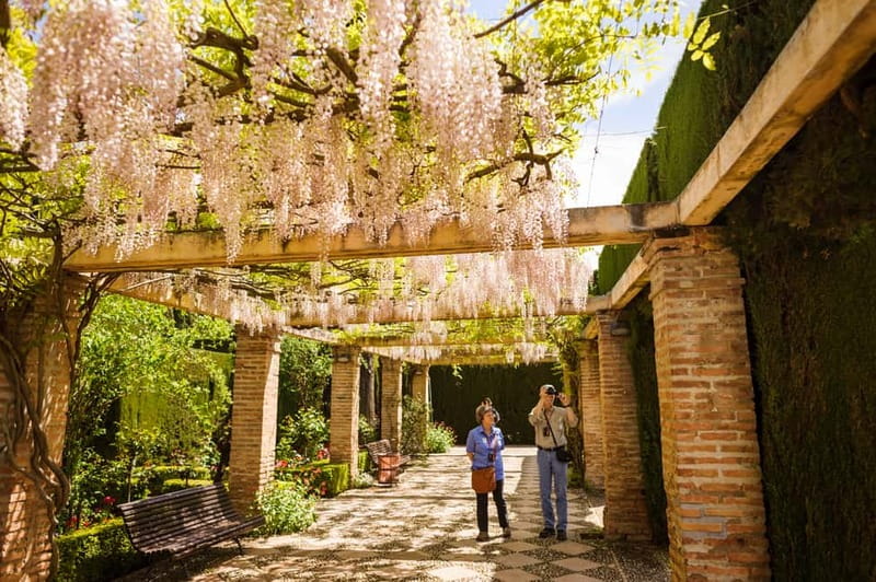 From Costa del Sol: Granada Full-Day Tour - Pick your pace: guided Alhambra, audio guide, or DIY Granada
