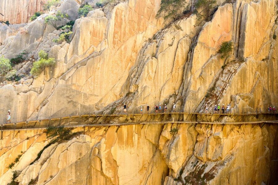 From Costa del Sol & Malaga: Caminito del Rey Guided Tour - Queue realities and the long return bus: manage the moments that drain you
