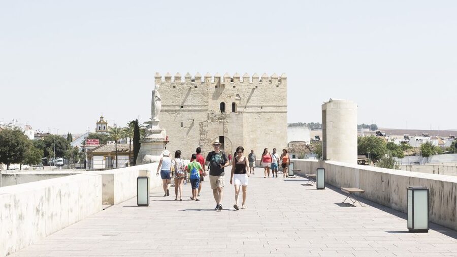 From Costa del Sol & Malaga: Cordoba Guided Day Tour - Key Highlights You Should Expect