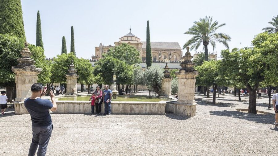 From Costa del Sol & Malaga: Cordoba Guided Day Tour - Cathedral Courtyards and the Pace of a Ten-Hour Day