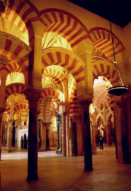 From Costa del Sol & Malaga: Cordoba Guided Day Tour - Roman Bridge Panoramas That Set the Scene