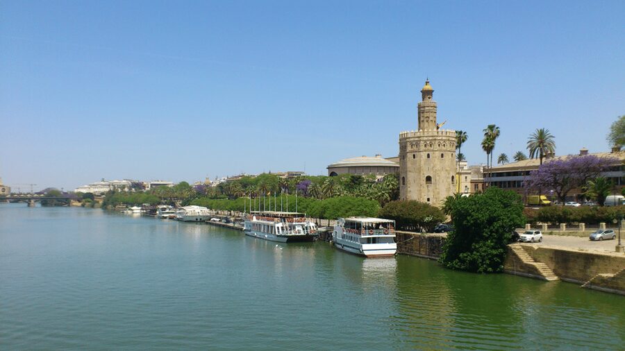 From Costa del Sol & Malaga: Seville Day Trip - Cathedral option: Giralda and the biggest Gothic spectacle on the route