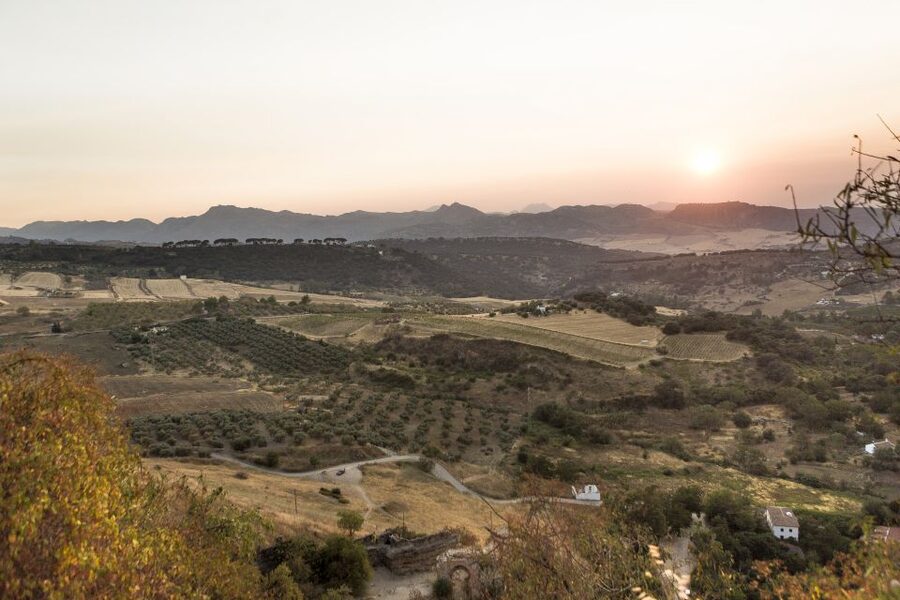 From Costa del Sol: Ronda Village Tour w/ Maestranza Ticket - Ronda’s cliffs, gorge views, and that easy sense of wonder