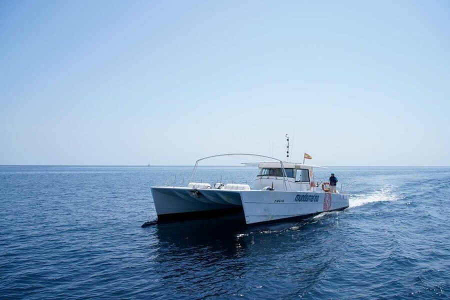 From Denia or Javea: 3 Cape Boat Excursion with Snorkeling - Timing, Sea Conditions, and How to Plan Your Day