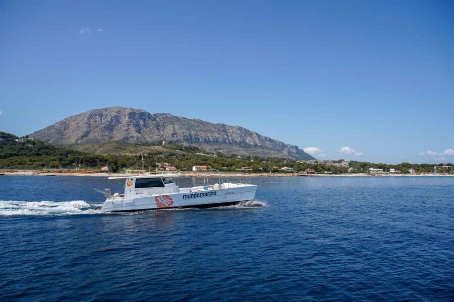 From Denia or Javea: 3 Cape Boat Excursion with Snorkeling - What to Bring, What to Skip, and Comfort Tips