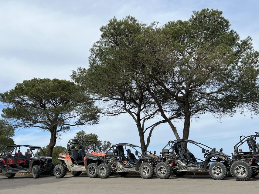 From East Mallorca: Guided Beach and Mountain Buggy Tour - Cala Murada Swim Stop: A Short Saltwater Reset