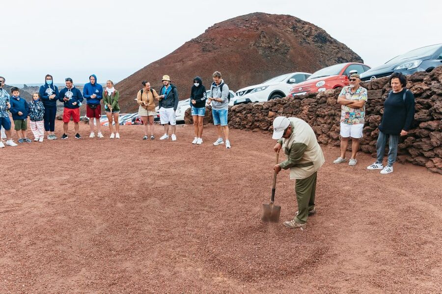 From Fuerteventura: Lanzarote Tour (with lunch included) - Jameos del Agua Lava Tunnel and the Albino Jameito