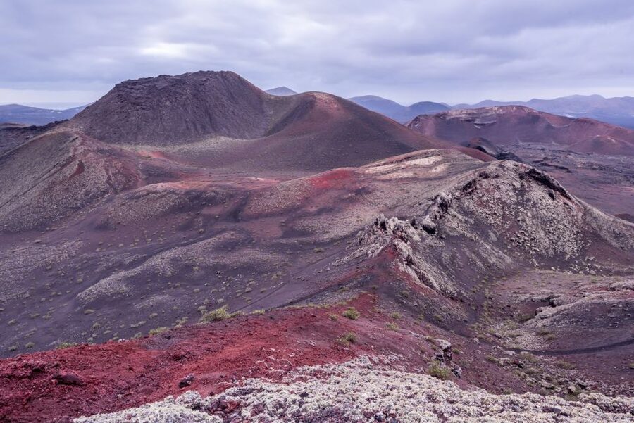 From Fuerteventura: Lanzarote Volcano and Wine Region Tour - What to Bring and Simple Tactics for a Smoother Day