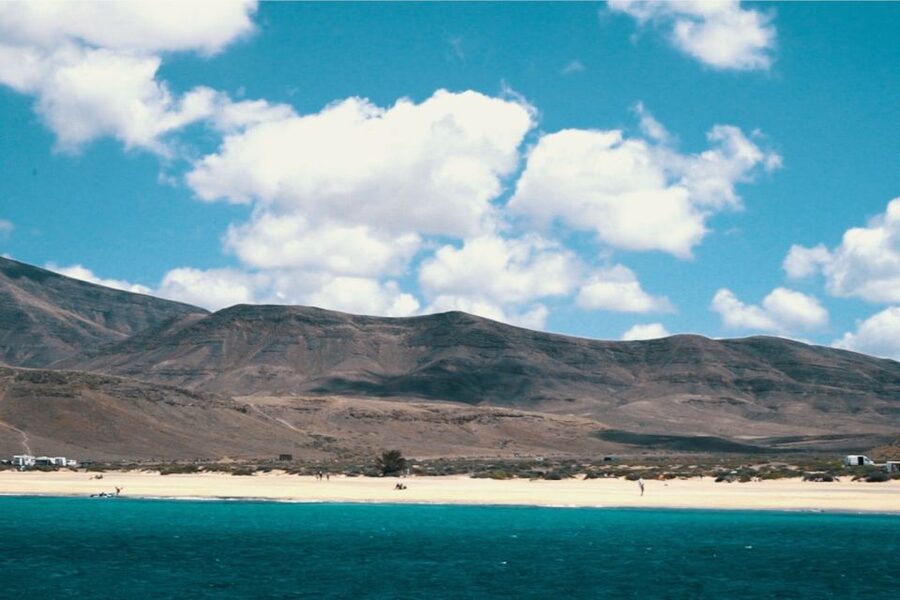 From Fuerteventura: Lanzarote Volcano and Wine Region Tour - Ferry Hopping From Fuerteventura to Playa Blanca