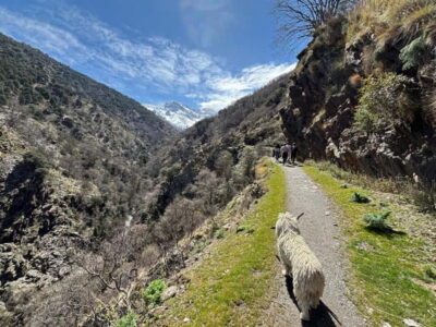 High Sierra Nevada hiking experience