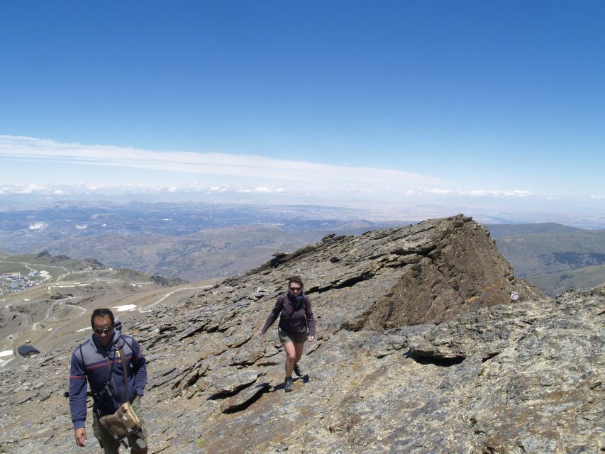 From Granada: High Sierra Nevada hiking experience - Wildlife spotting, from mountain goats to sky watchers