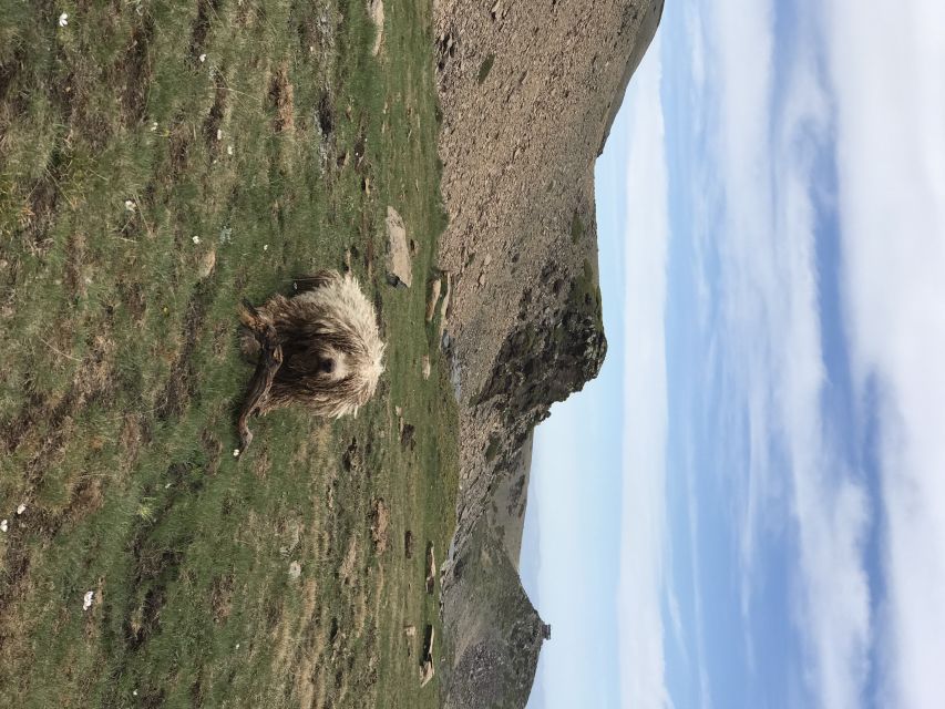 From Granada: High Sierra Nevada hiking experience - Pace and fitness: moderate effort, long enough to matter