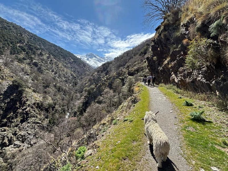 From Granada: High Sierra Nevada hiking experience - San Juan Valley: glacier clues, waterfalls, and quiet air