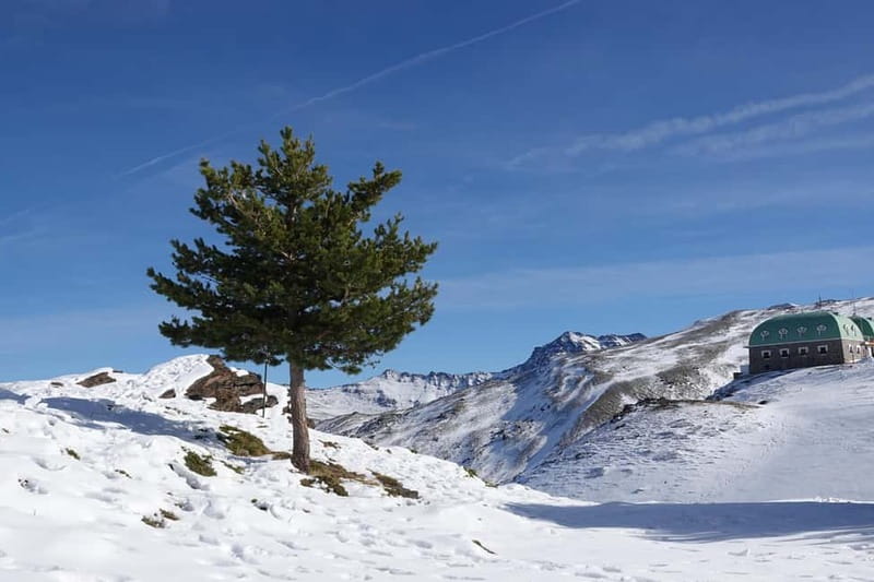 From Granada: Sierra Nevada Safari up to 2500 meters high - Up to the hut at 2500 m: your hour and a half of freedom