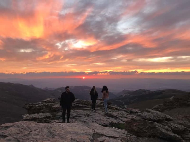From Granada: Sierra Nevada Safari up to 2500 meters high - Wildlife chances: ibex, griffon vultures, and eagles