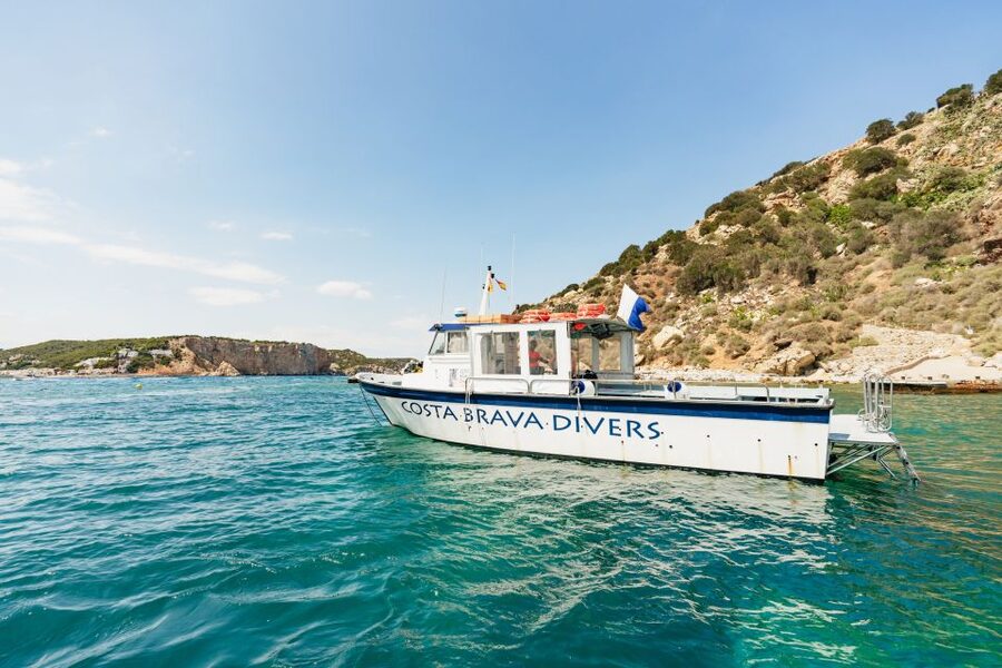 From L’Estartit: Snorkeling Trip to the Medes Islands - Quick hits before you go