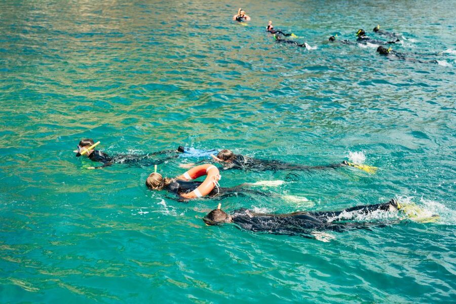 From L’Estartit: Snorkeling Trip to the Medes Islands - The short ride to the islands, and what to watch for on deck