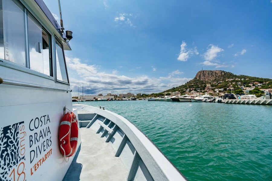 From L’Estartit: Snorkeling Trip to the Medes Islands - 50 minutes snorkeling in small groups, with a guide holding the plan