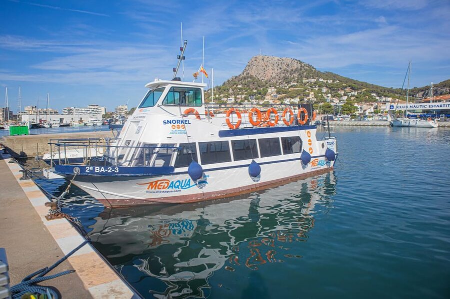 From L’Estartit: Snorkeling Trip to the Medes Islands - What you will likely see under the surface, and what affects the view