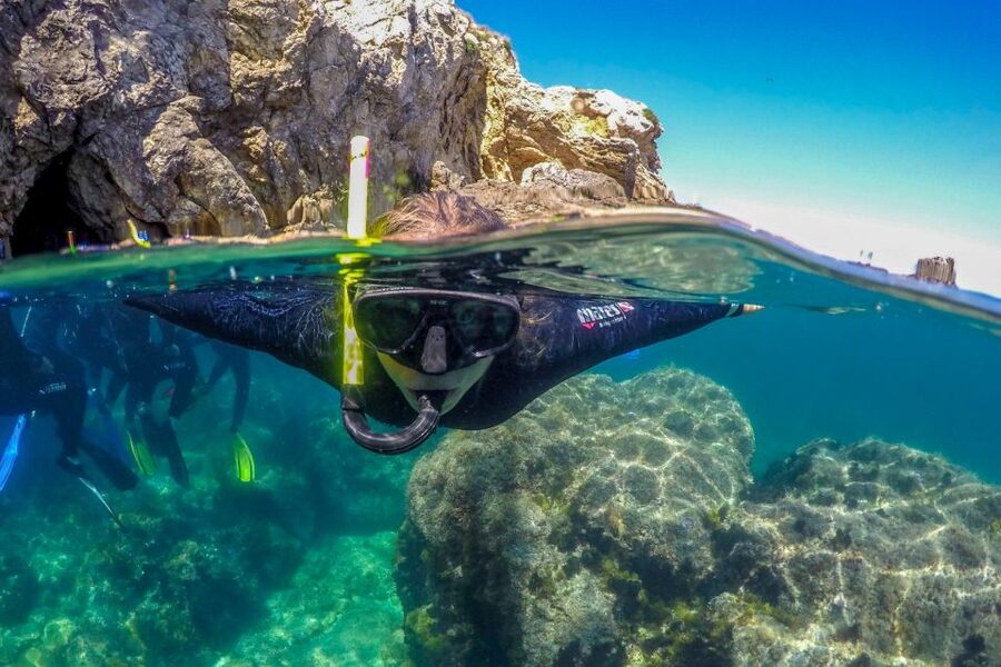From L’Estartit: Snorkeling Trip to the Medes Islands - Equipment that makes snorkeling feel manageable, not stressful