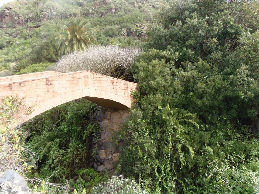 From Las Palmas: Full-Day Tour of the North - Puerto de las Nieves: panoramic port views and cliff drama