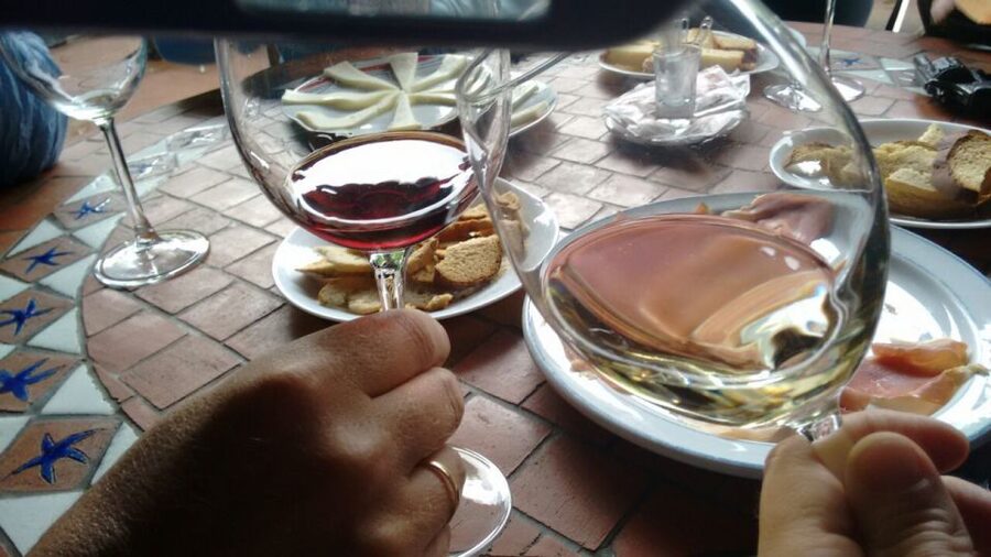 From Las Palmas: Full-Day Tour of the North - Ceramic benches, wineries, and viewpoints: the rhythm and the time crunch