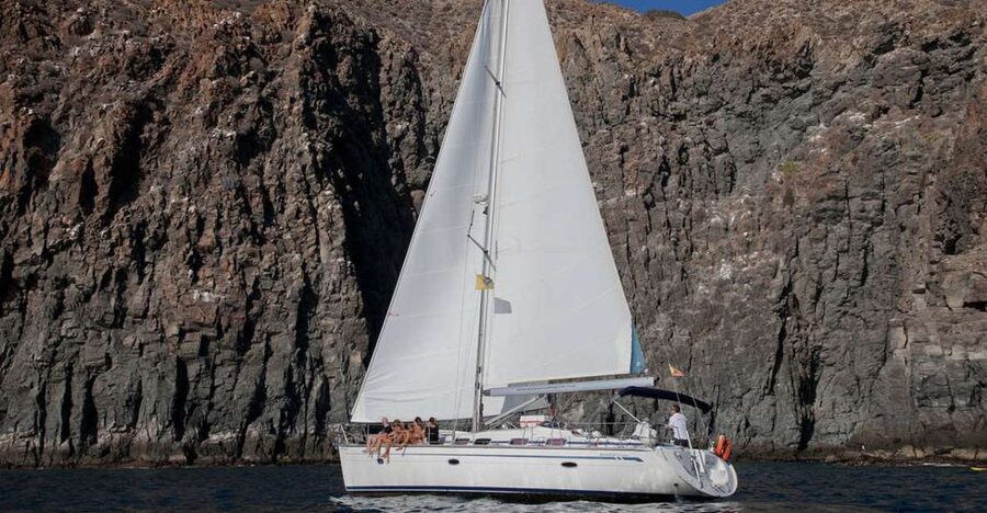 From Los Gigantes: Whale Watching Sailboat Cruise - Key reasons this whale cruise works so well