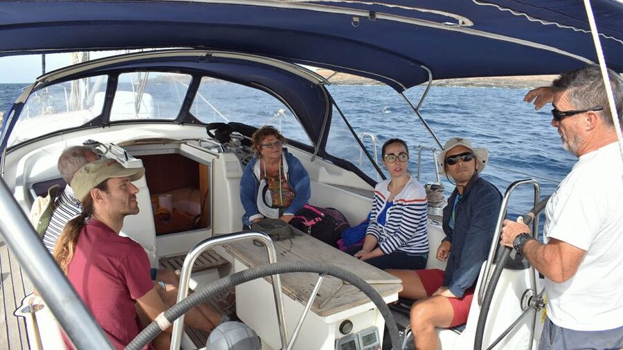 From Los Gigantes: Whale Watching Sailboat Cruise - Snorkeling under the cliffs: short, doable, and focused on safety