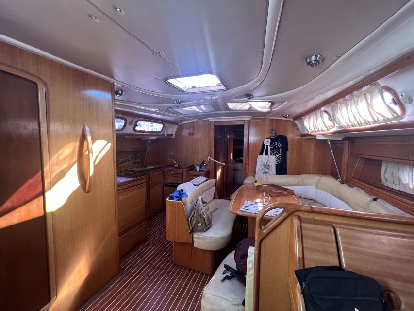From Los Gigantes: Whale Watching Sailboat Cruise - Meeting at Picarus Sailing Club, and what to look for on departure