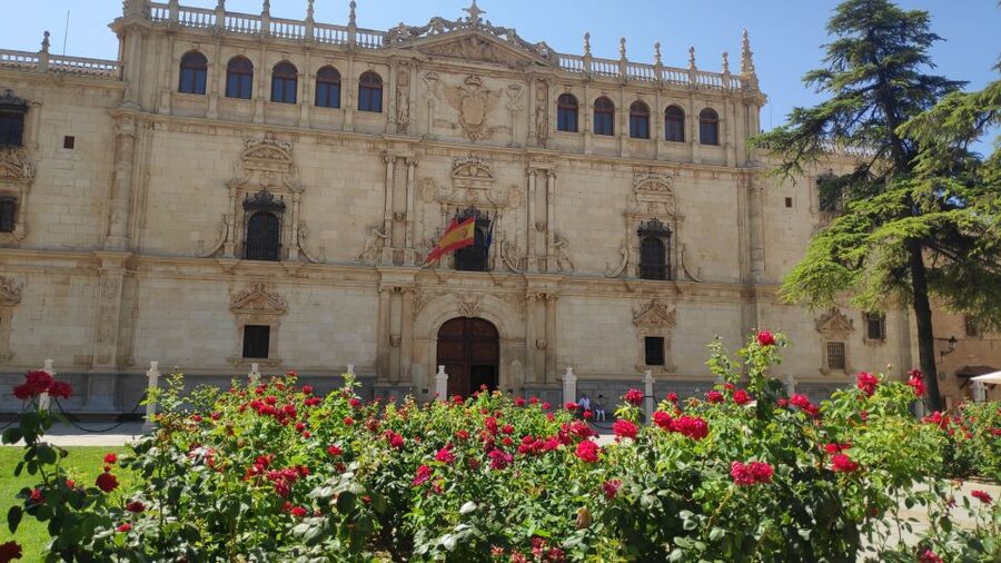 From Madrid: Alcalá de Henares & Cervantes Museum Day Trip - Timing, Comfort, and Making the 5 Hours Feel Worth It