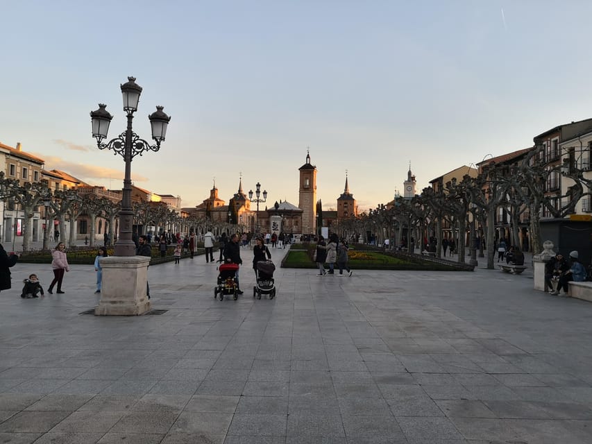 From Madrid: Alcalá de Henares, Winery Tour & Wine Tasting - Key highlights to look for