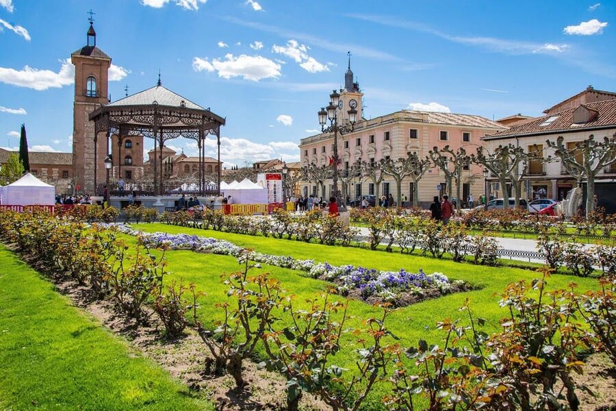 From Madrid: Alcalá de Henares, Winery Tour & Wine Tasting - Price and Logistics: How This 6-Hour Day Trip Runs