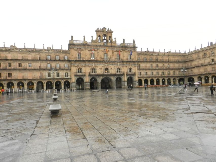 From Madrid: Ávila and Salamanca Guided Day Trip - The Top-of-Walls Experience: Why That Ticket Option Is Worth It