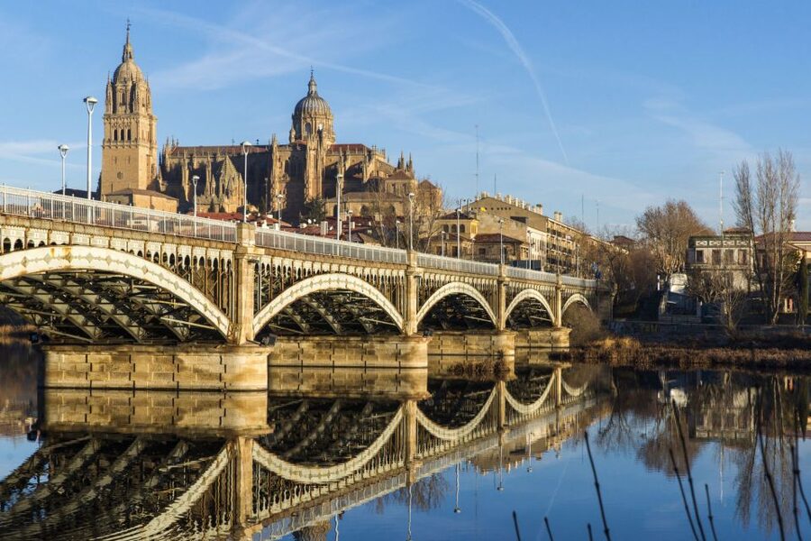 From Madrid: Ávila and Salamanca Guided Day Trip - Price and Value: Is $81 Worth It?