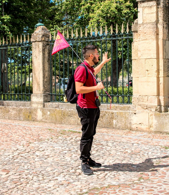 From Madrid: Ávila and Segovia Guided Day Trip - What to pack and how to pace yourself for 11 hours