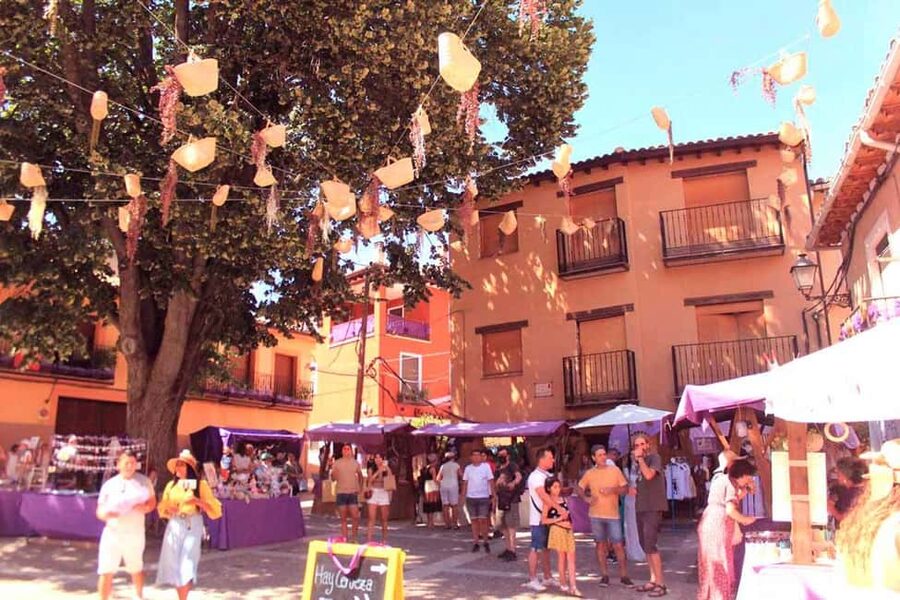 From Madrid: Day Trip to Brihuega Lavender Fields - Key Points at a Glance