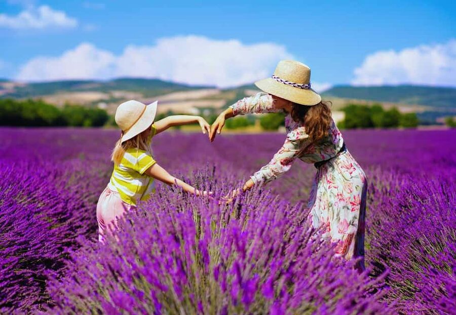 From Madrid: Day Trip to Brihuega Lavender Fields - What You Get for $56: Value, Not Just Price