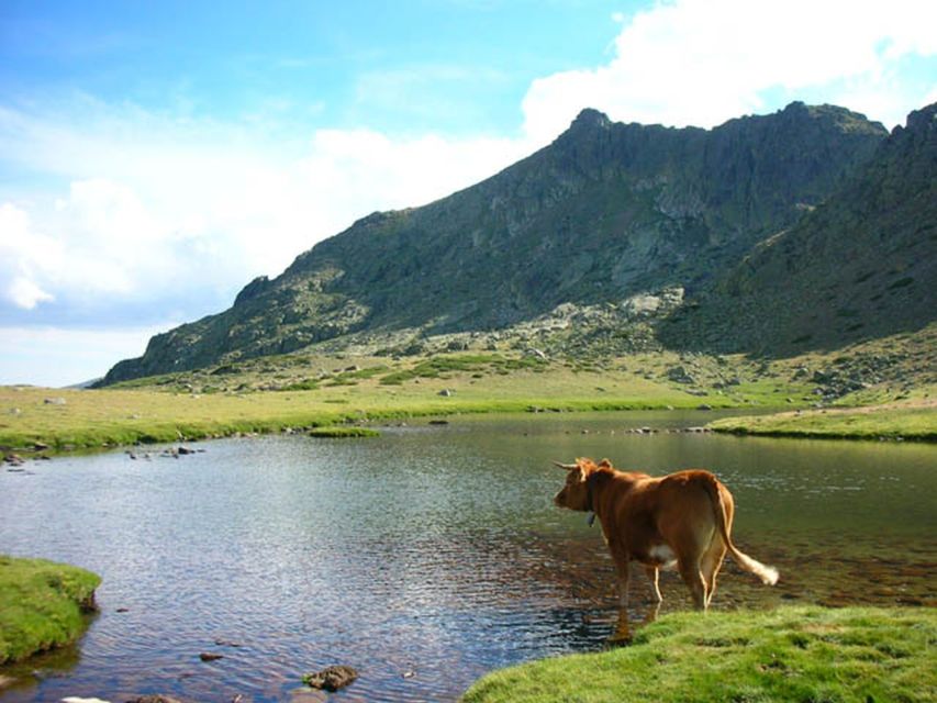 From Madrid: Day Trip to Guadarrama National Park - Key takeaways before you go