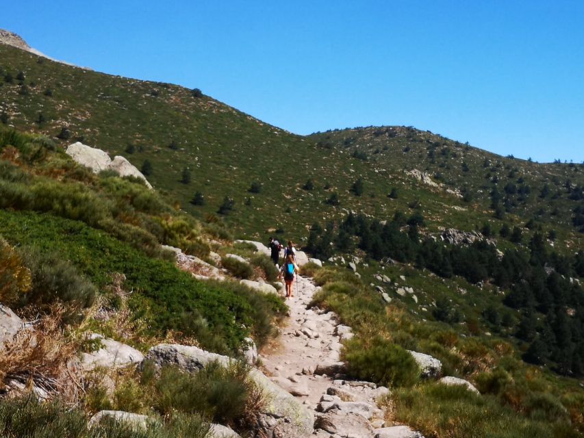 From Madrid: Day Trip to Guadarrama National Park - Puerto Navacerrada and Puerto de Cotos: quick stops that deliver high-altitude views