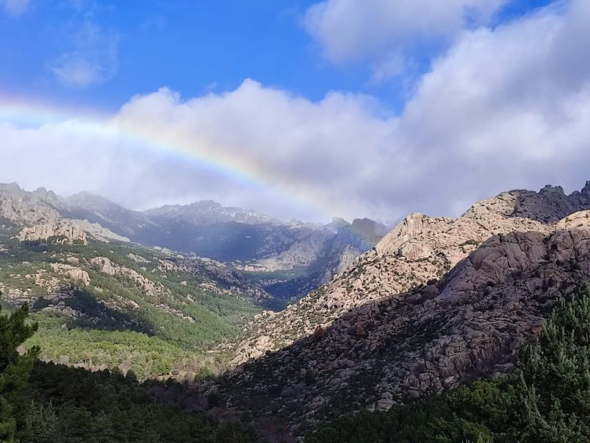 From Madrid: Day Trip to Guadarrama National Park - Getting oriented: meeting point, van ride, and the castle photo stop